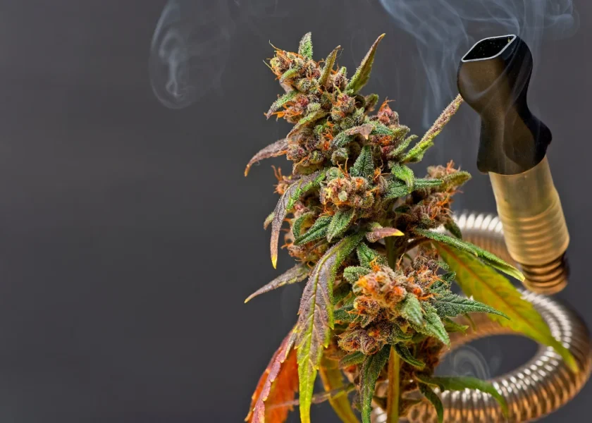 Experience the Best Cannabis Vaporizers with The Fire Garden