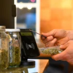 A Taste of Excellence: Oxnard's Prime Marijuana Shop Destinations