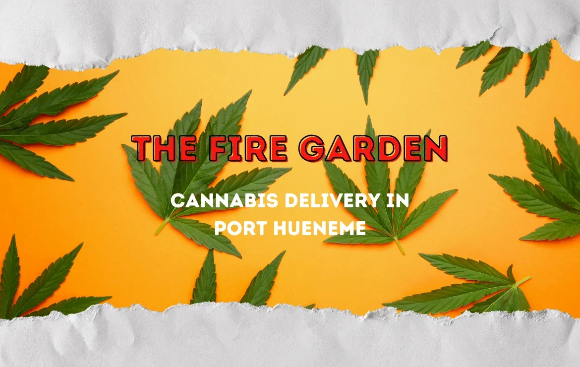 The Fire Garden Setting the Standard for Cannabis Delivery in Port Hueneme