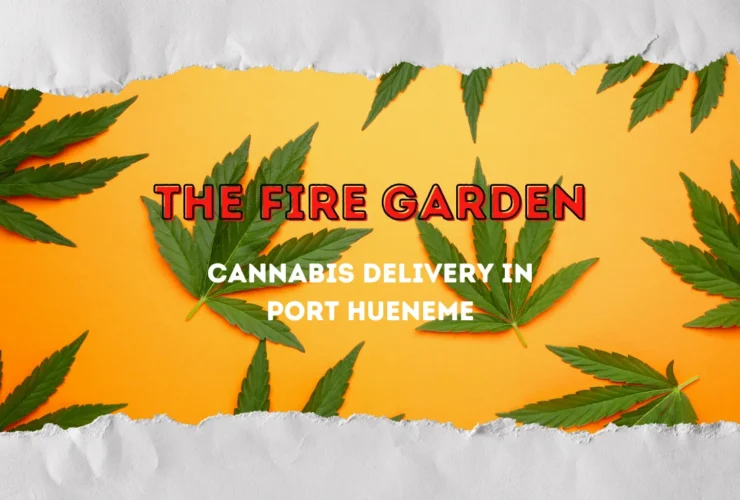 The Fire Garden Setting the Standard for Cannabis Delivery in Port Hueneme