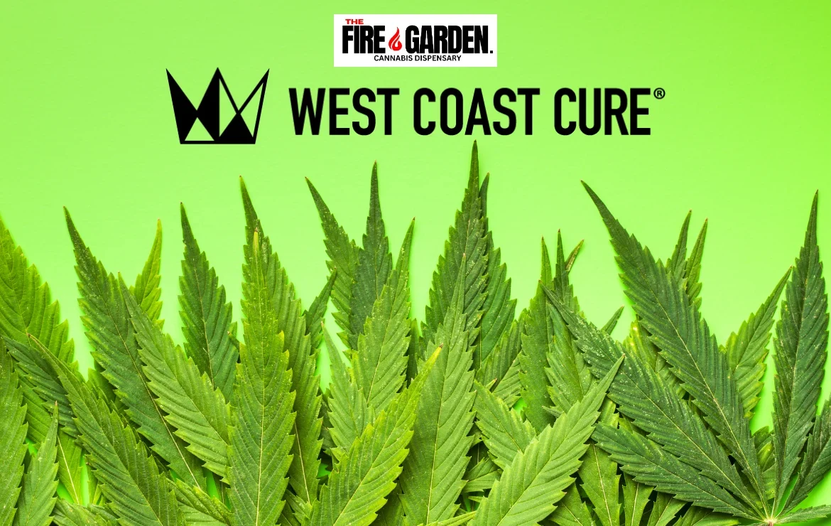 Seed to Sale The Journey of West Coast Cure Cannabis at The Fire Garden