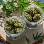 Discover the Best Recreational Dispensary Near Channel Islands