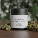 Discover the Exotic Terpenes of Congo Kashmir by Cookies