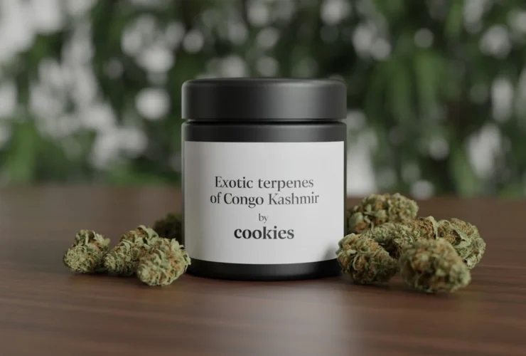 Exotic Terpenes of Congo Kashmir by Cookies product photo MyFireGarden // Daply