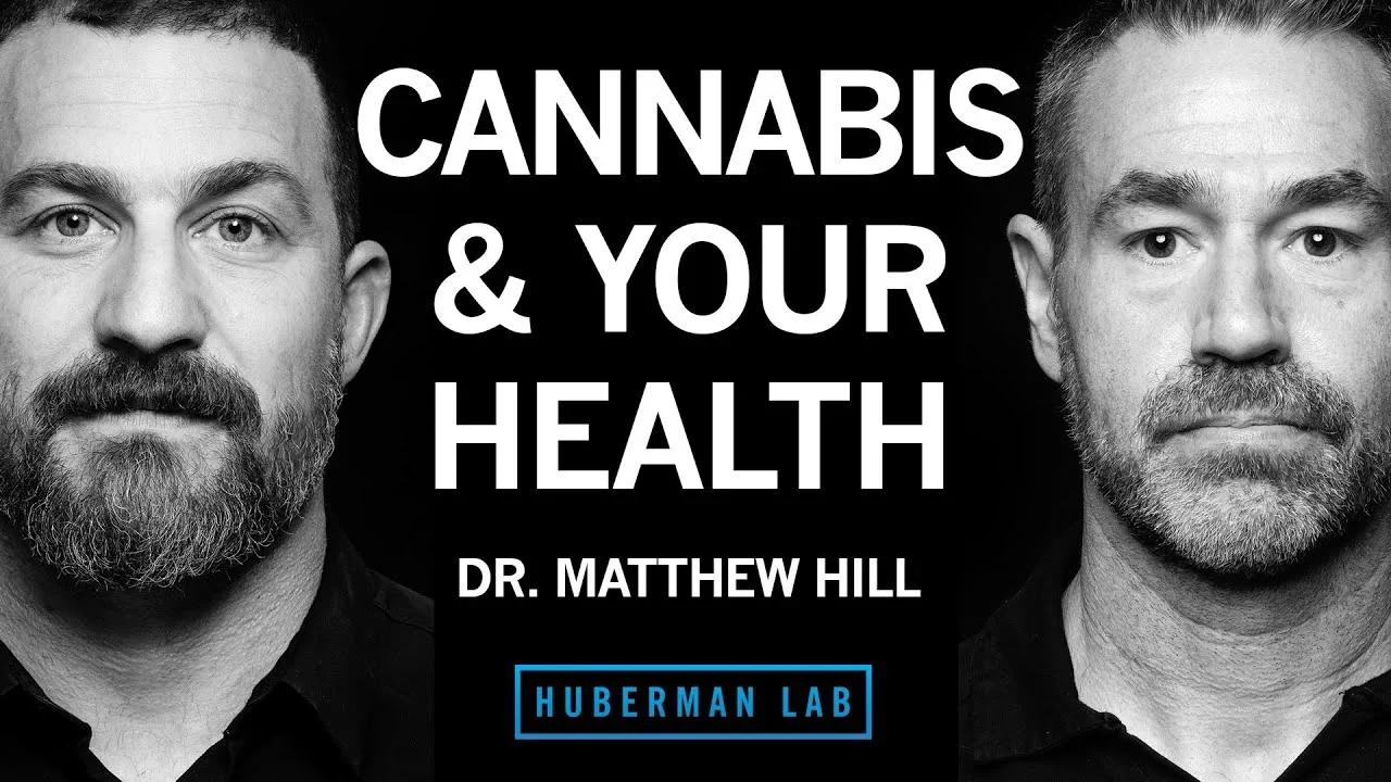 Exploring Cannabis: Effects, Uses, and Misconceptions